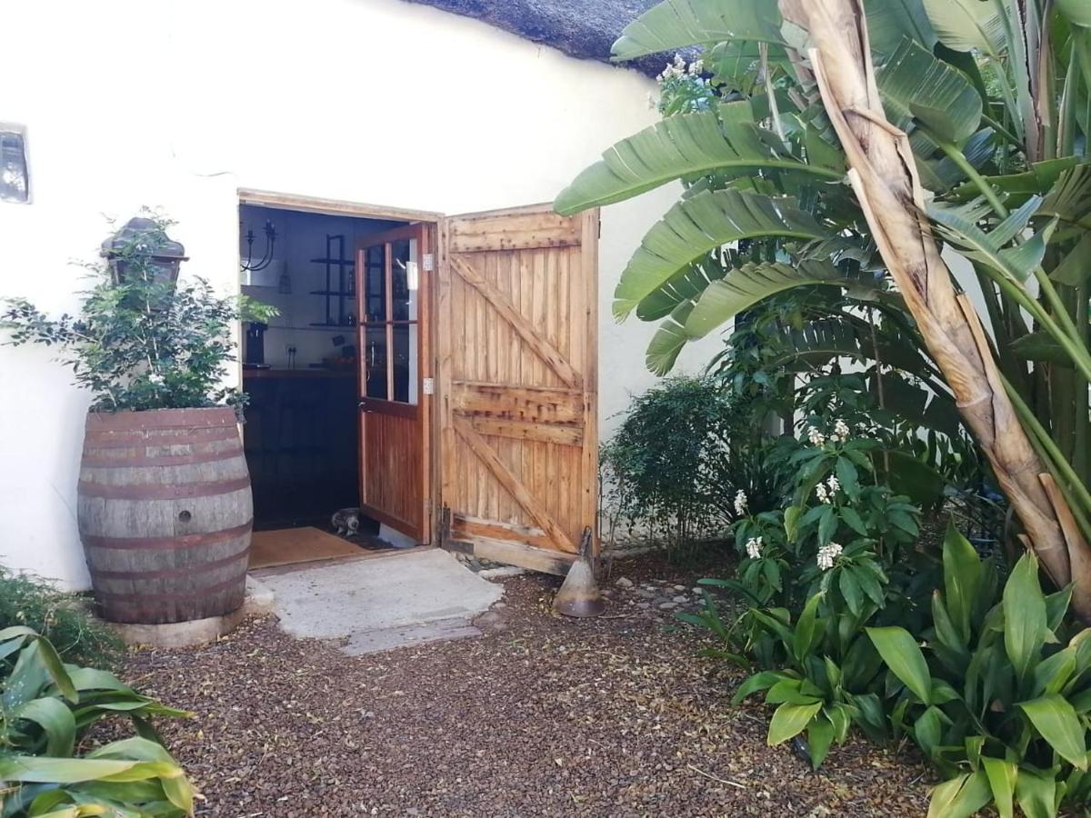 The Barn On 62 - Cottages Montagu Bagian luar foto