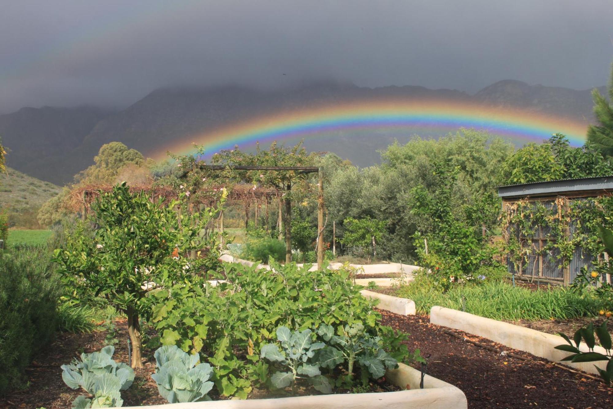 The Barn On 62 - Cottages Montagu Bagian luar foto