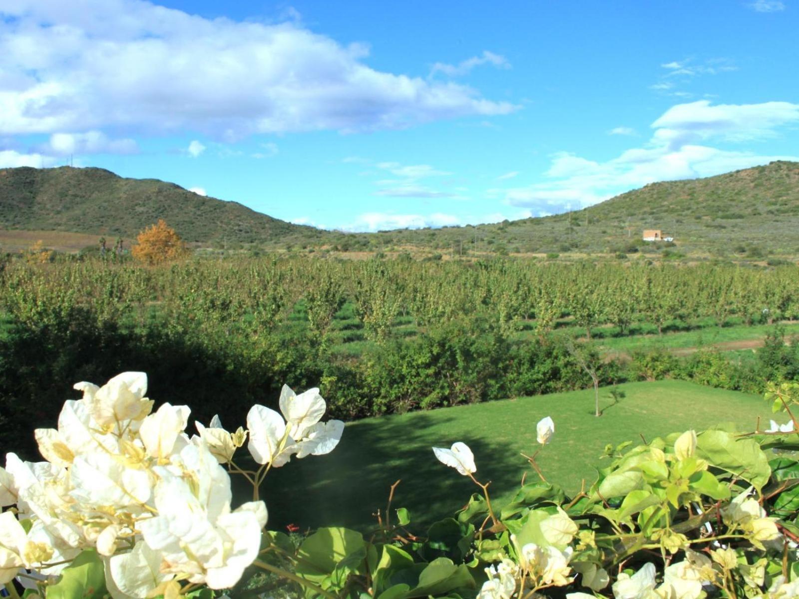 The Barn On 62 - Cottages Montagu Bagian luar foto